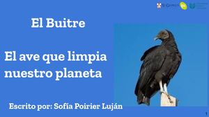 El buitre - Sofia Poirier Lujan