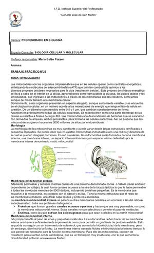 Trabajo Nº 36 Biologia Celular