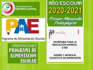 Orientaciones Pae Y Educativas Ii