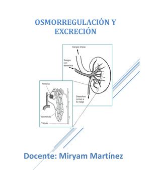 Osmorregulación Y Excreción