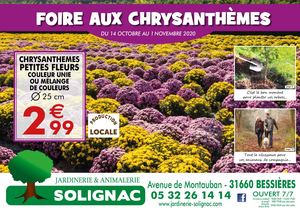FOIRE AUX CHRYSANTHEMES 2020