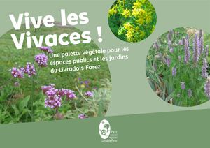 Vive les vivaces !