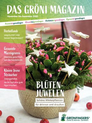 Paradies Garten 6/2020 Grönfingers