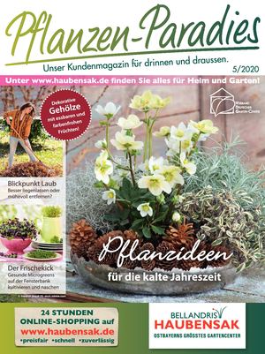 Mein Paradies 5/2020_Haubensak