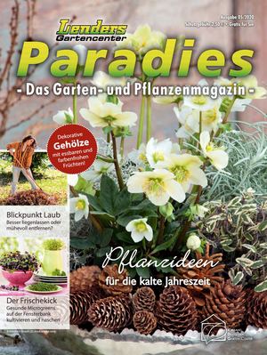 Mein Paradies 5/2020_Lenders