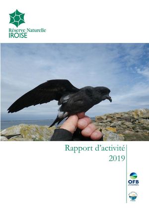 Rapport d'activités de la Réserve naturelle d'Iroise - 2019