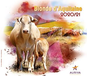 Catalogue Blonde d'Aquitaine 2020-2021