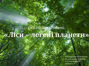 ліси легені планети