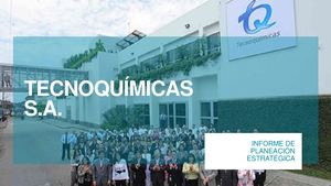 Informe Ejecutivo Tq Segunda Entrega