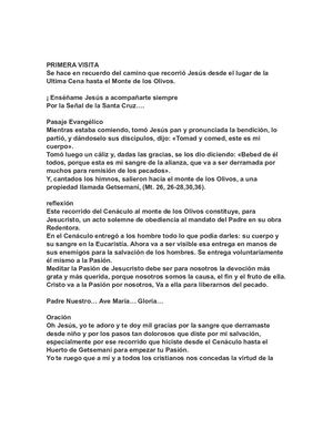 Guía Para Hacer La Visita A Las 7 Casas