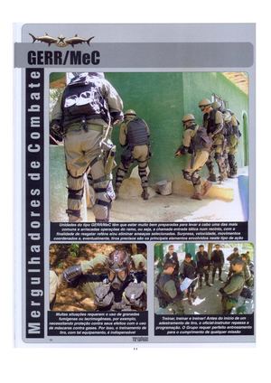 Grupo Especial de Retomada e Resgate (GERR-MEC)