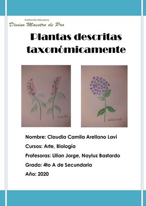 Plantas descritas taxonómicamente