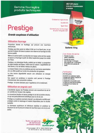 Colza Fourrager D'hiver PRESTIGE 90/120 Jours
