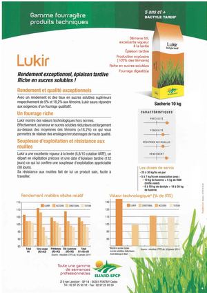 Dactyle Tardif LUKIR 5 Ans Et +.