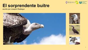 El Sorprendente Buitre Joaquin Reategui Carpena