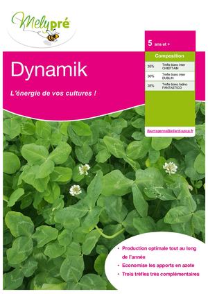 Mélange Trèfles Blancs 5 Ans DYNAMIK