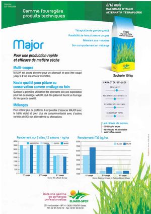RGI Alternatif Tétraploïde MAJOR 6 18 Mois