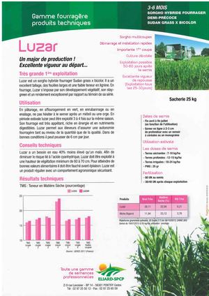 Sorgho Hybride Fourrager LUZAR 3/6 Mois