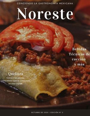 El Noreste De México