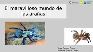 El Maravilloso Mundo De Las Arañas Samuel Ortega Pereira