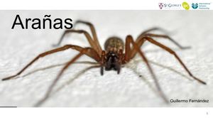 Arañas Guillermo Fernández Febres
