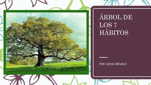 ÁRbol De Los 7 Hábitos