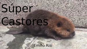 Súper Castores Emilio Risi Goytizolo