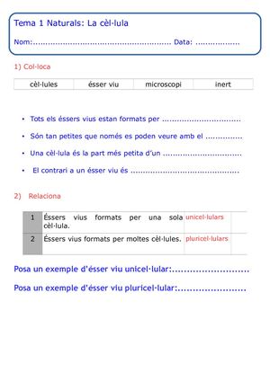 Prova La Cél·lula Adaptat