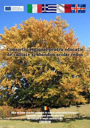 Ghid De Bune Practici - Medii Defavorizate