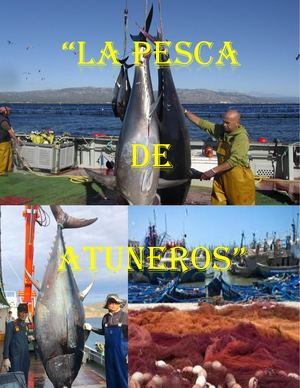 La Pesca De Atun
