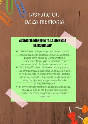 Disfunciones De La Memoria Luisa Rodas