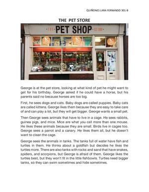 The Pet Store