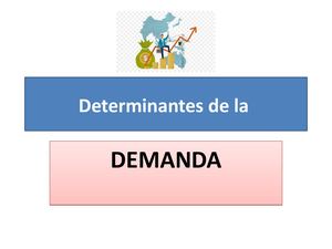 Determinates De La Demanda