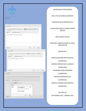 Creación Y Manipulación De Texto Enriquecido [Computación Básica (Literacidad Digital)] Iali Equipo 7 Sección 101