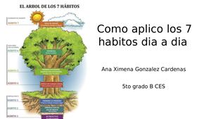 ¿ Cómo aplico los 7 hábitos día a día  ?