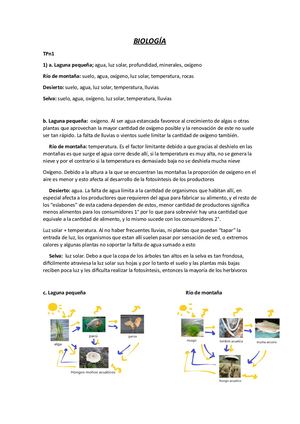 Camila Alvarez 5 Cs Nat