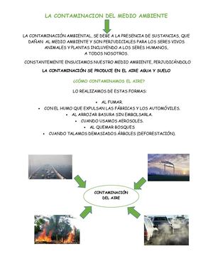La Contaminacion Del Medio Ambiente