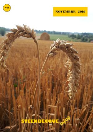 Steenbecque Infos 2019