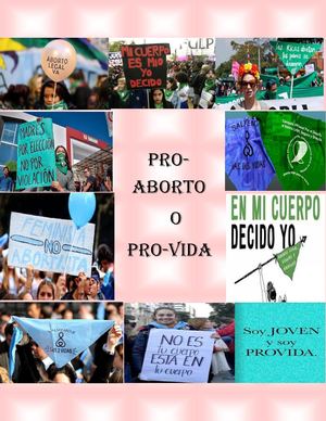 El debate del aborto