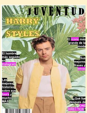 Revista sobre Harry Styles