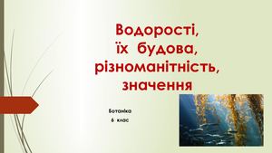 Водорості, їх будова, різноманітність