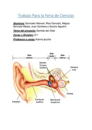 Feria De Ciencias Biologia Olfato Gonzalez, Megna, Rico, Quintero Y Guzzio 3°1