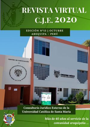 Revista Virtual CJE 2020 - UCSM