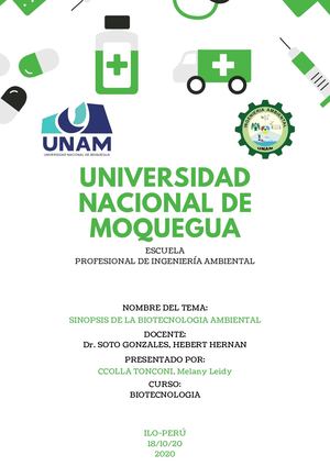 Sinopsis De Biotecnología Ambiental (linea de tiempo)