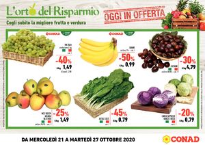 Web A3 Orizzontale Orto Del Risparmio Web 28