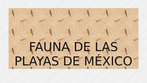 Fauna de las playas de México