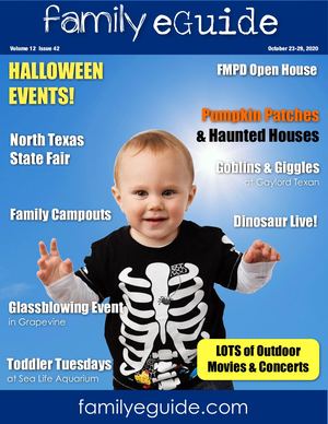 Family E Guide 20201023