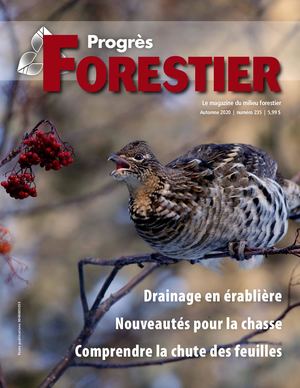 Progrès Forestier - Automne 2020