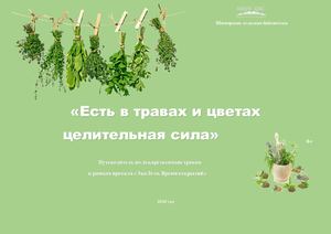 лекарственные растения