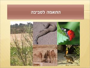 התאמות יצורים חיים לסביבתם נושא 3